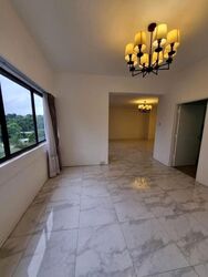 The Cairnhill (D9), Condominium #619024781